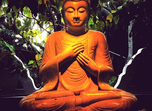 th-1105181078 1